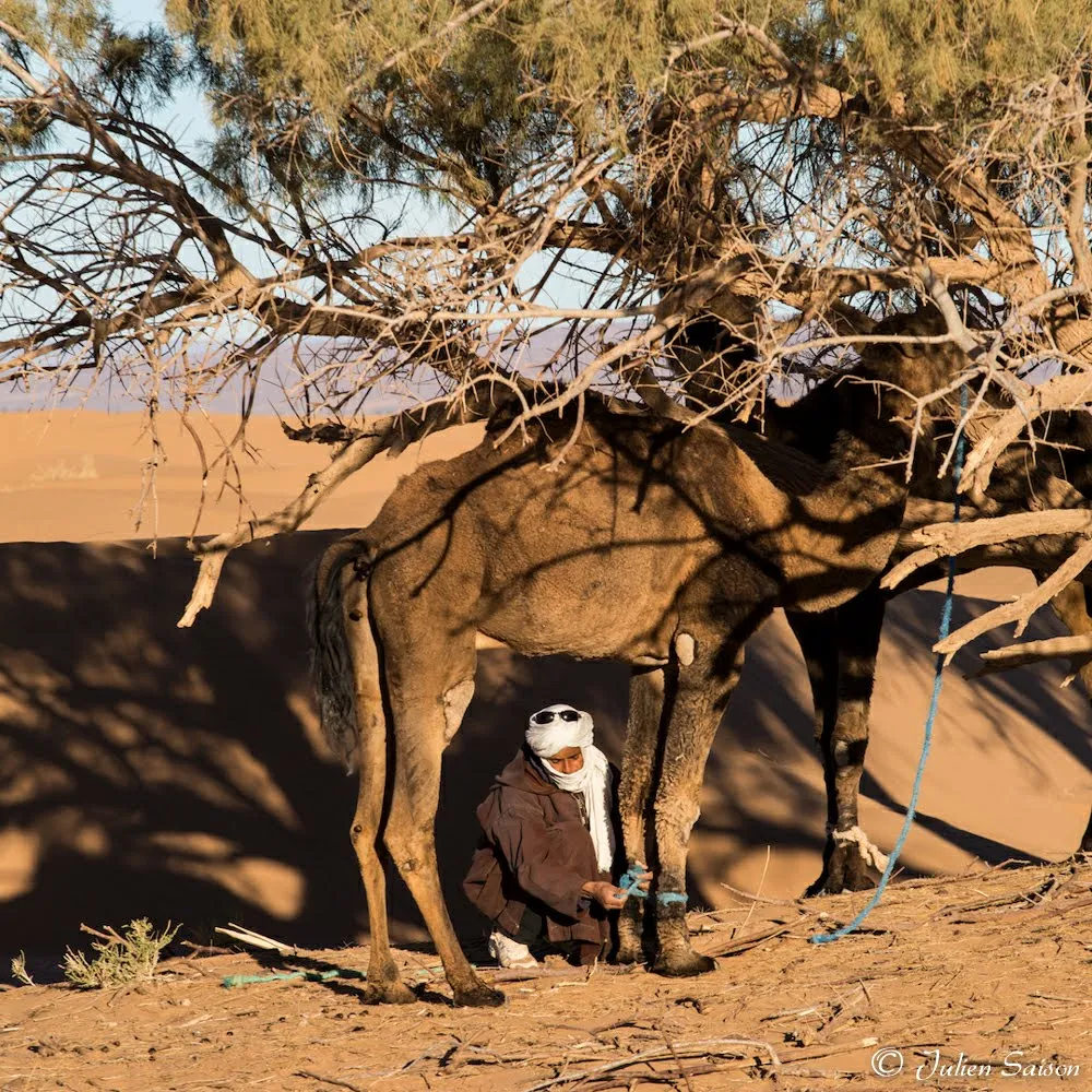 Best Time to Visit Morocco: Weather, Events & Insider Tips