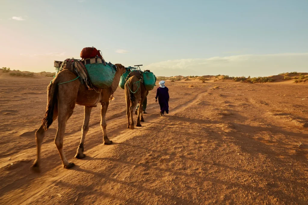 Medina Riads vs. Luxury Hotels: What is the Difference?