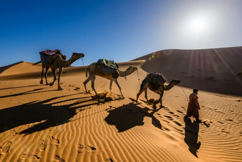 Sahara Photography Expedition