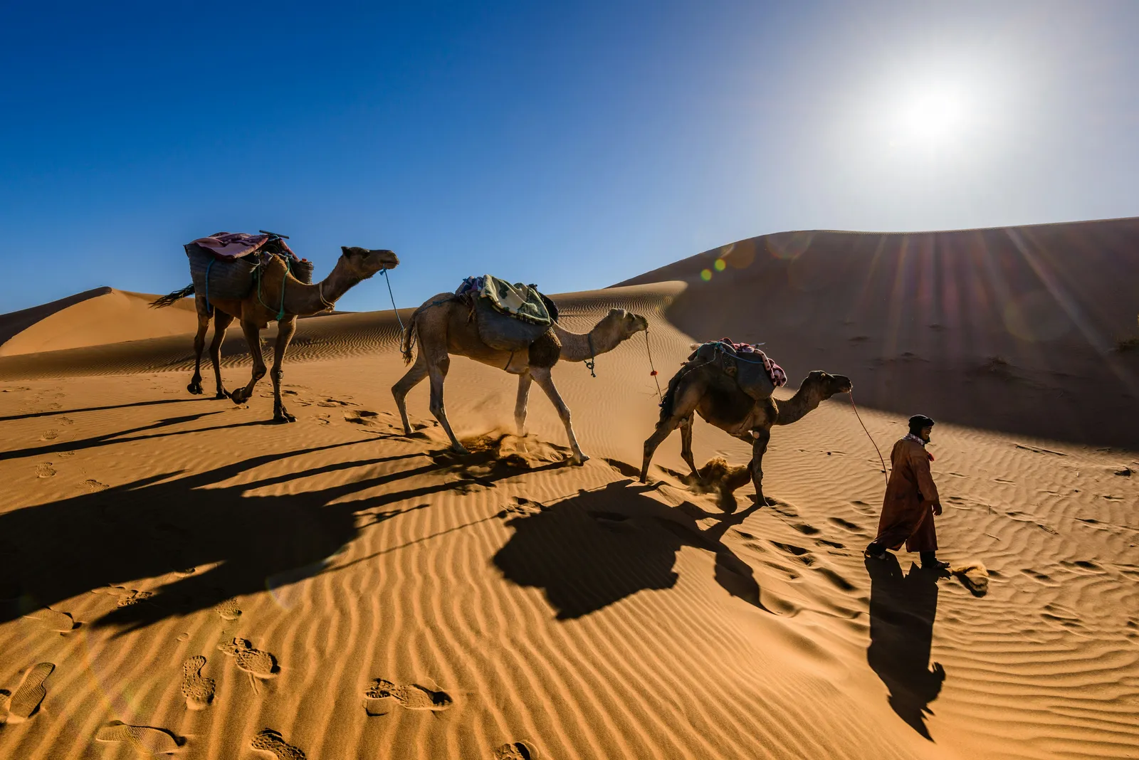 Sahara Photography Expedition Sahara Photography Expedition